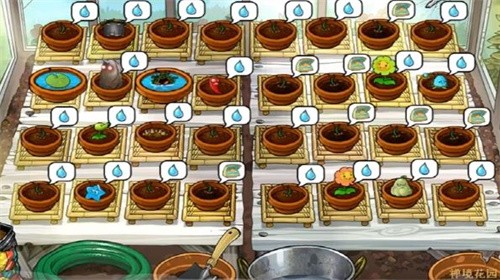 植物大戰(zhàn)僵尸PVZ碎星e版支線下載手機(jī)版截圖3
