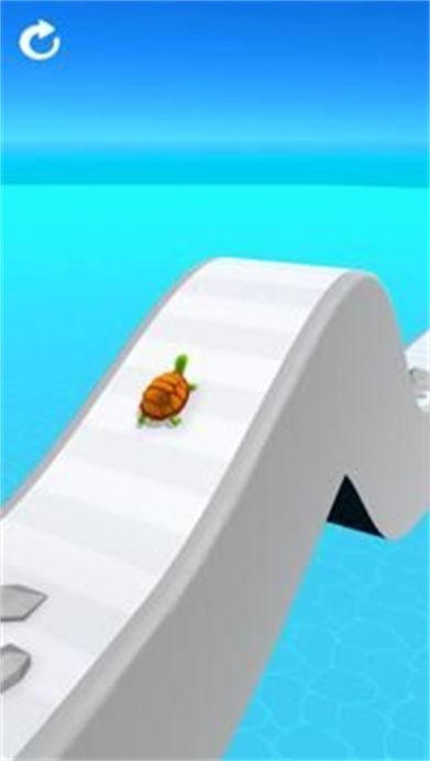海龜賽跑3D游戲手機(jī)版（Turtle Race 3D）截圖4