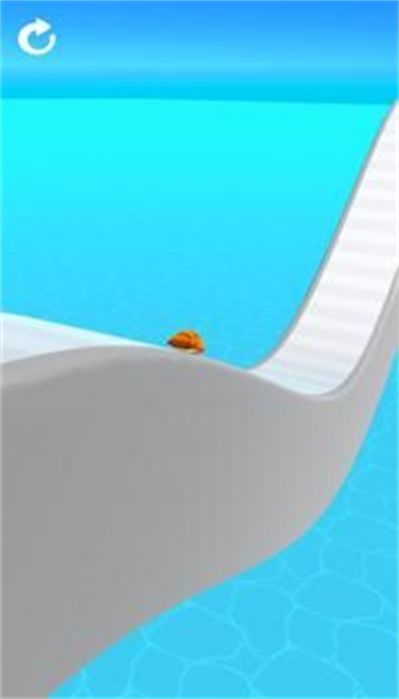海龜賽跑3D游戲手機(jī)版（Turtle Race 3D）截圖3