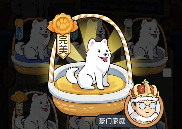 狗生模擬器怎么去富人區(qū)？去富人區(qū)生活方法