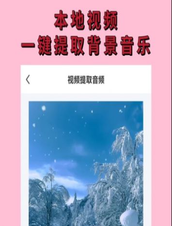 无水印视频提取软件APP最新版截图1: