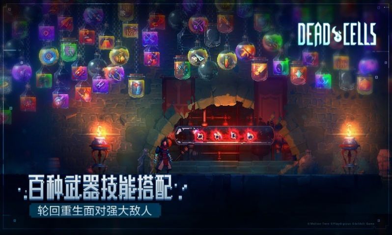 重生細(xì)胞3.0a測更新版本截圖1