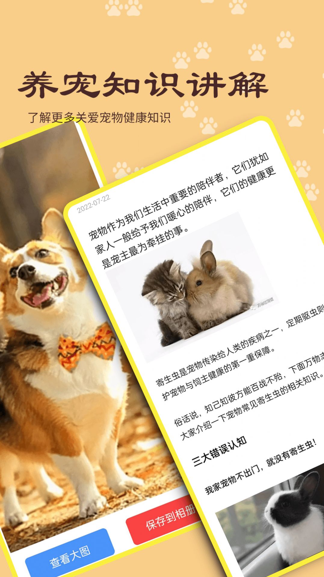 橙貓寵物百科APP手機(jī)版截圖1
