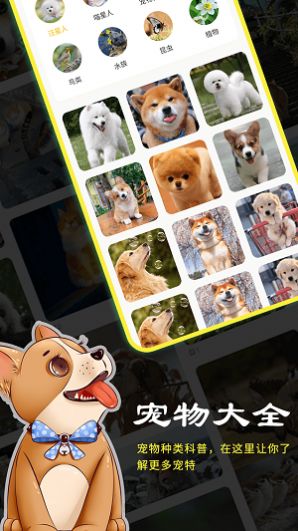 橙貓寵物百科APP手機(jī)版截圖2