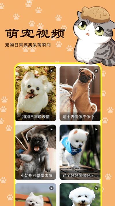 橙貓寵物百科APP手機(jī)版截圖3