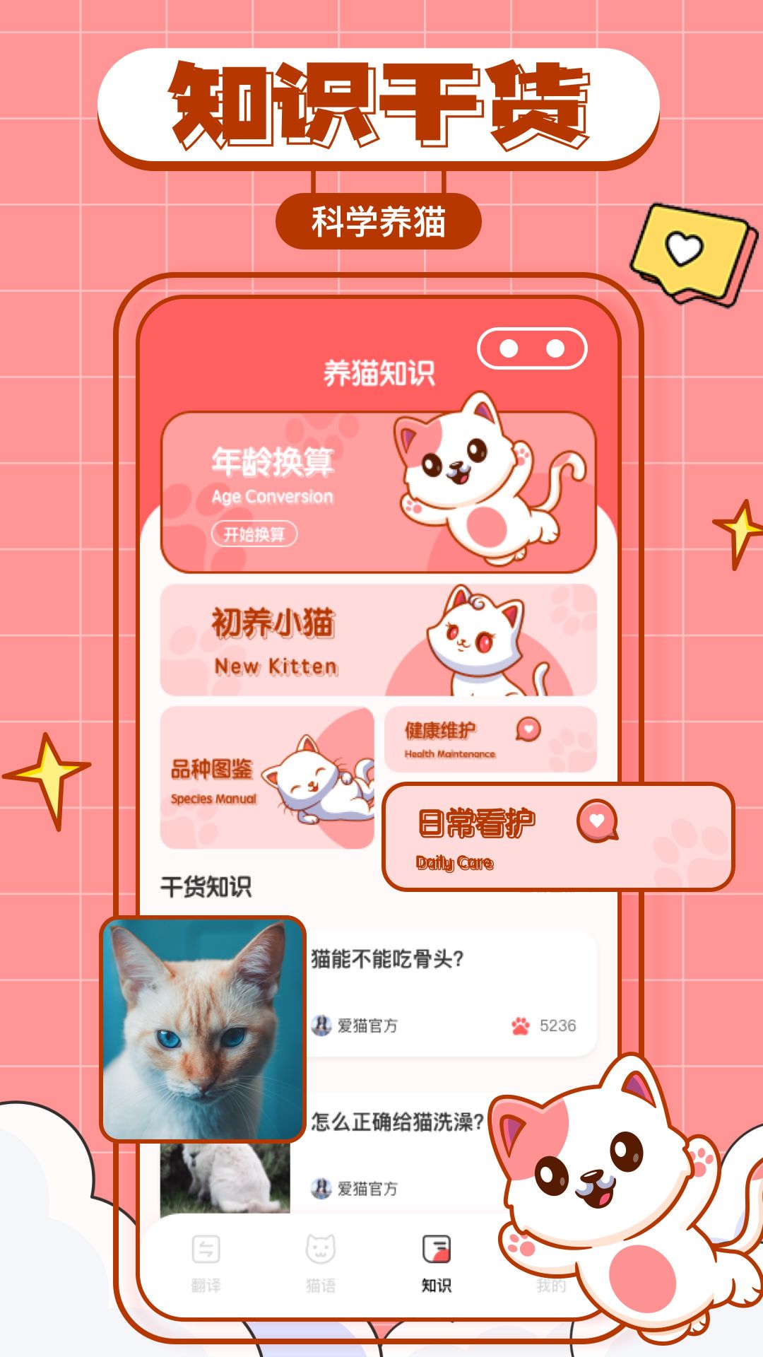 猫咪翻译物语下载APP手机版截图2: