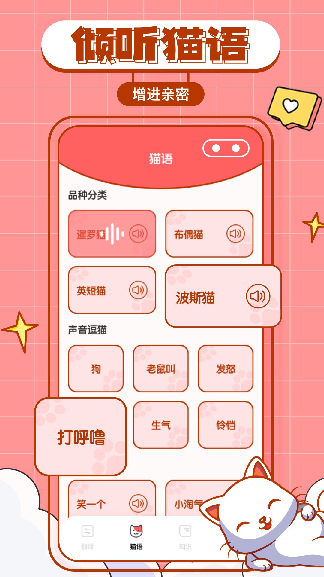 猫咪翻译物语下载APP手机版截图1: