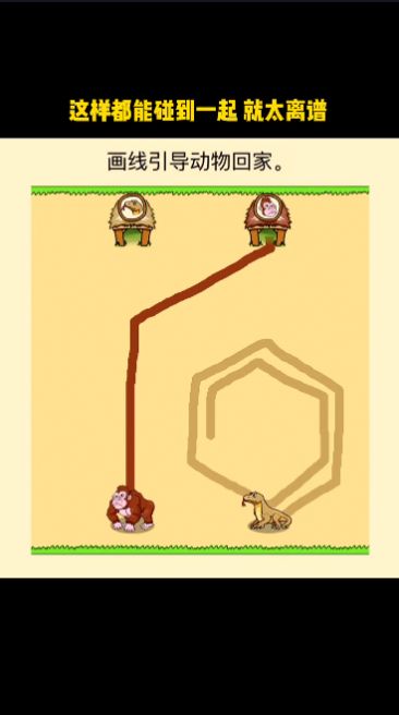 抖音全民烧脑新版画线引导动物回家游戏下载4