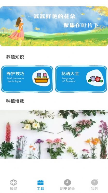 全能拍照識物app安卓版截圖4