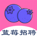 藍(lán)莓招聘APP手機(jī)版