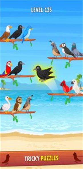 鳥類顏色分類拼圖游戲安卓版截圖4