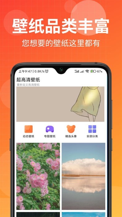 壁紙盒子純凈版APP安卓版截圖2