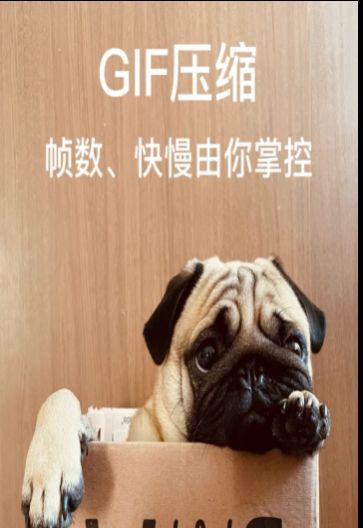 圖片照片壓縮專家APP版截圖2
