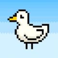 Duck Frenzy游戲中文版