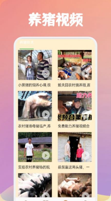 歡喜養(yǎng)豬世界游戲領(lǐng)紅包版截圖2
