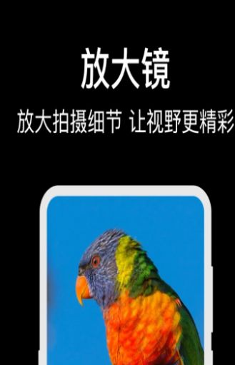 手機(jī)字體放大鏡app安卓版截圖2