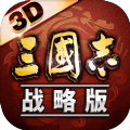 三國志戰(zhàn)略版九游客戶端下載手游