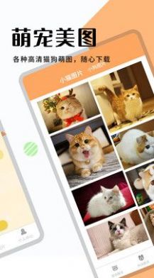 貓狗寵物翻譯軟件下載最新版截圖2
