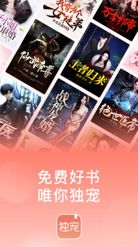 獨(dú)寵小說APP版截圖1