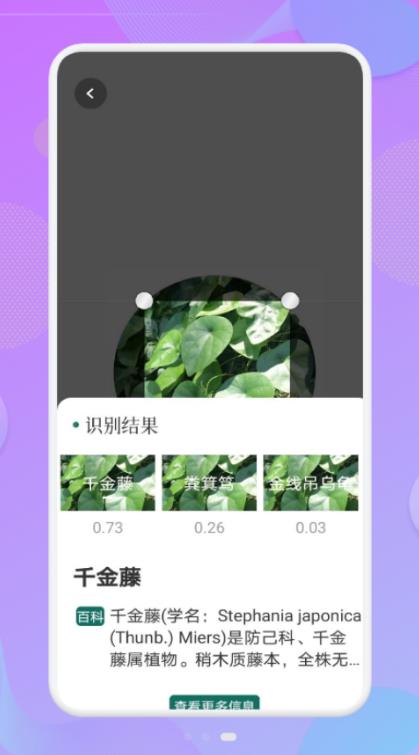 智能識(shí)圖識(shí)物軟件安卓版截圖3