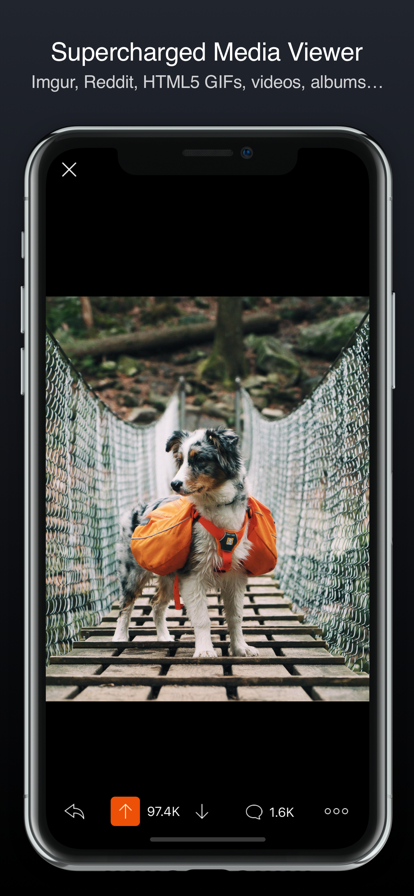 靈動島電子寵物app版(Apollo for Reddit)截圖3