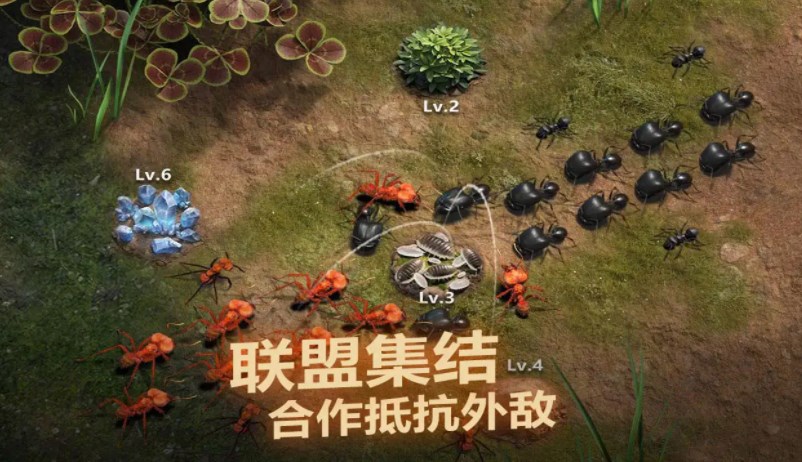 小小蟻國官網(wǎng)是什么 小小蟻國官網(wǎng)入口分享