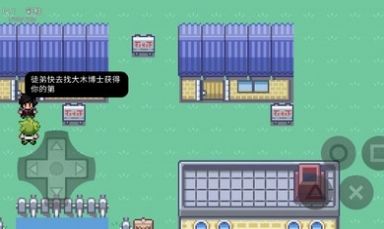 口袋妖怪污濁漢化版下載內(nèi)置菜單截圖3