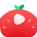 番茄视频app下载最新版