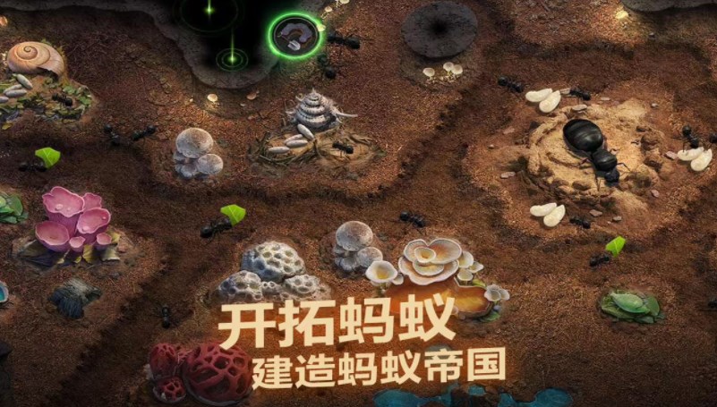 小小蟻國(guó)兵種怎么搭配 最強(qiáng)兵種搭配攻略