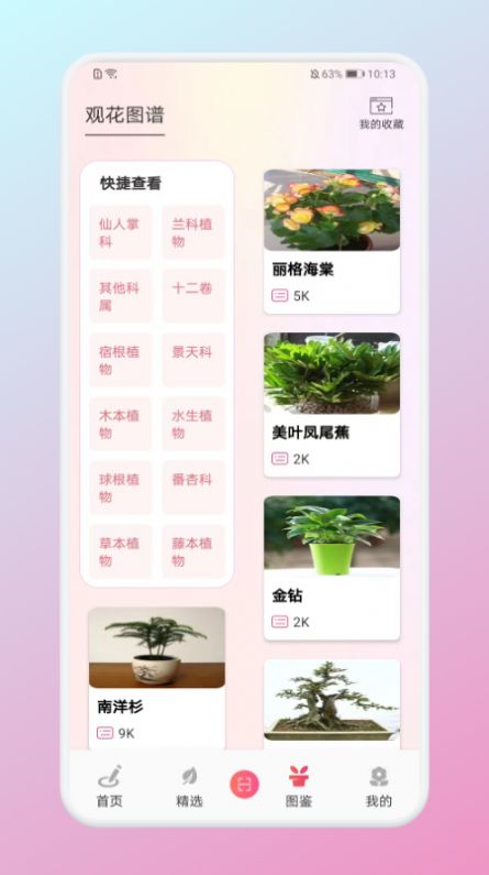 养花小助手app版截图2: