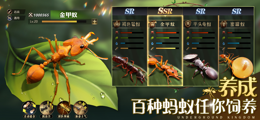 小小蟻國(guó)手游安卓版截圖2