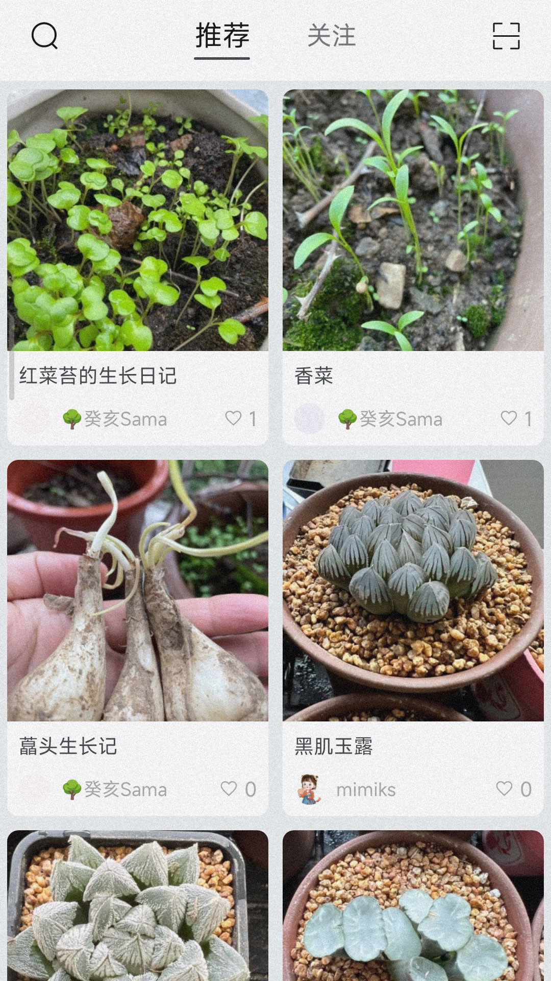小植物記錄APP版截圖1