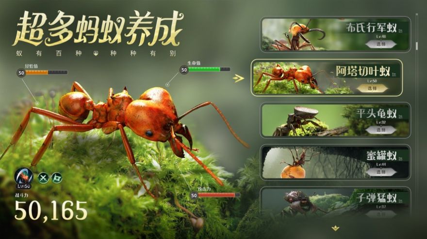 小小蟻國真實(shí)螞蟻世界游戲正版截圖2