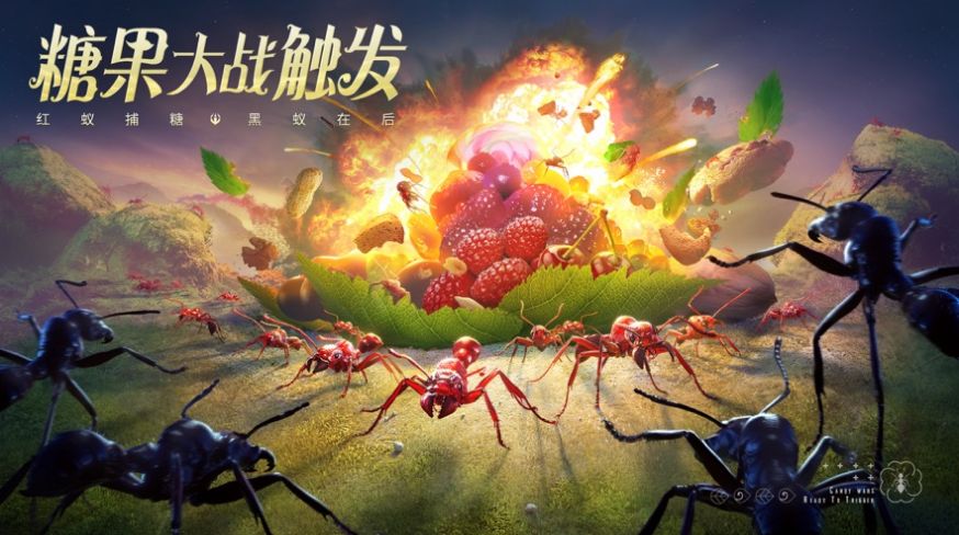 小小蟻國真實(shí)螞蟻世界游戲正版截圖4