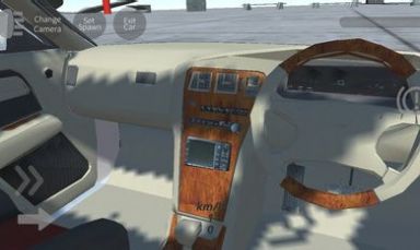 辛迪汽車駕駛模擬器下載安裝手機版最新版截圖3