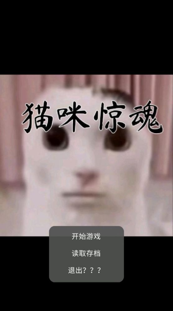 貓咪驚魂游戲版截圖1