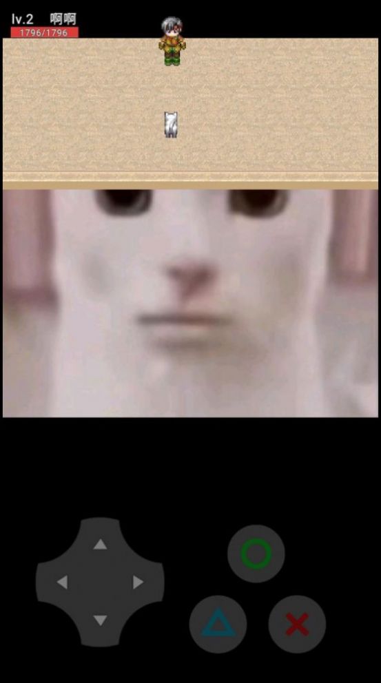 貓咪驚魂2游戲版截圖1