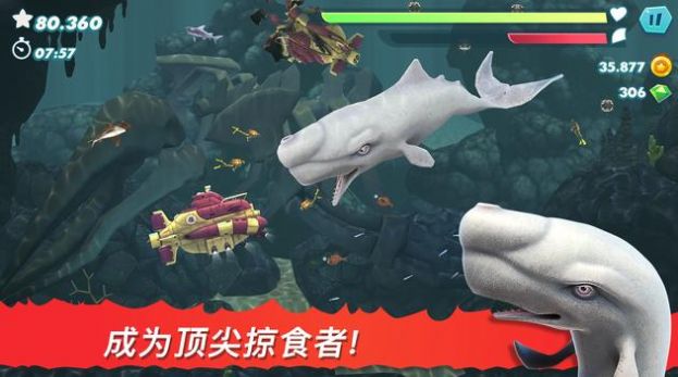 饑餓鯊進(jìn)化2015老版本下載舊版截圖1