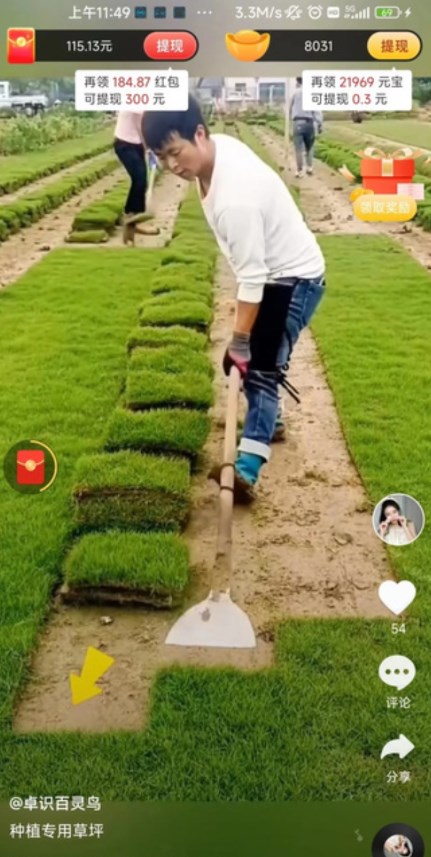 胖小喵短視頻app版截圖1
