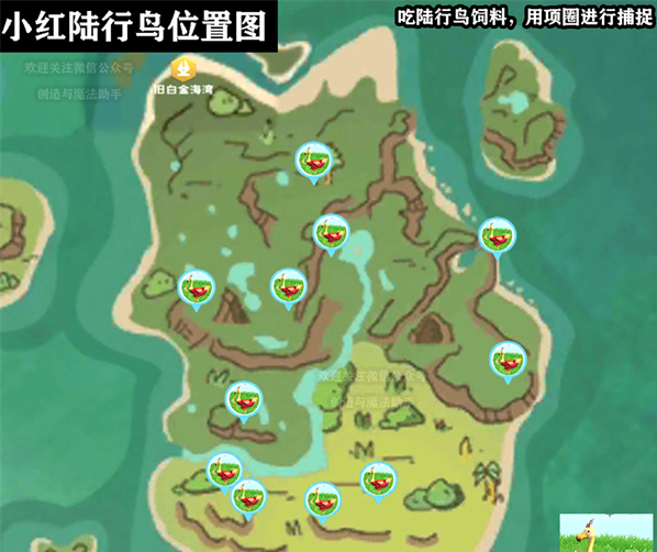創(chuàng)造與魔法小紅陸行鳥在哪里 小紅陸行鳥位置分布圖一覽