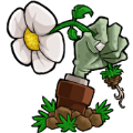 植物大戰(zhàn)僵尸BE版觸控版下載安裝（PvZ BE）