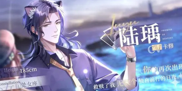 貓之宿約者重復(fù)卡有什么用 重復(fù)卡作用介紹