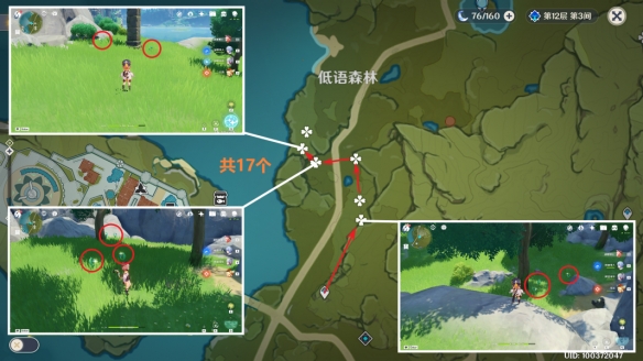 原神小燈草采集位置大全 4.1小燈草采集路線圖一覽