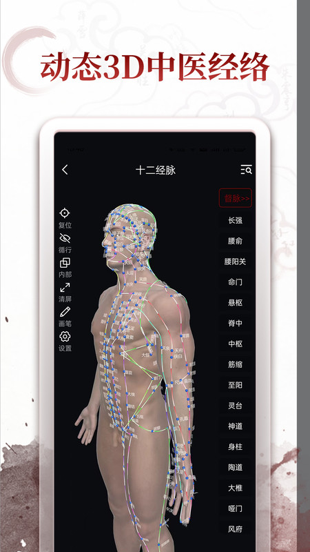 中醫(yī)經(jīng)絡穴位軟件版截圖3