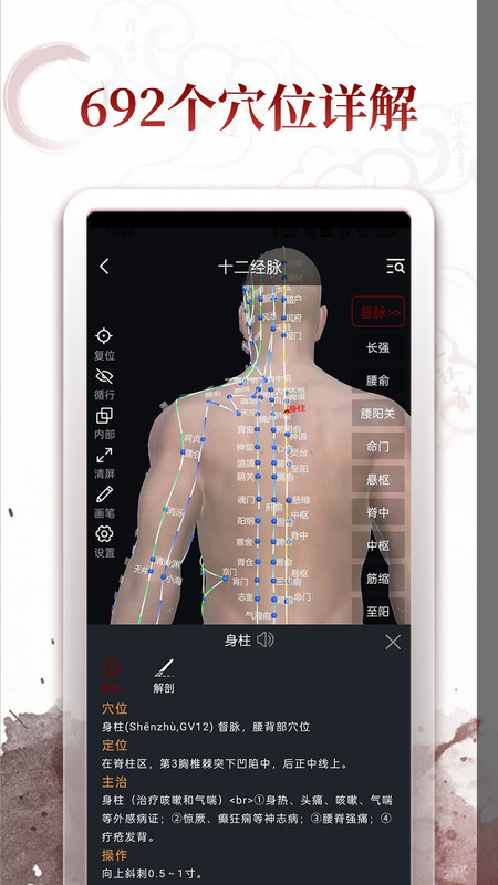 中醫(yī)經(jīng)絡穴位軟件版截圖2
