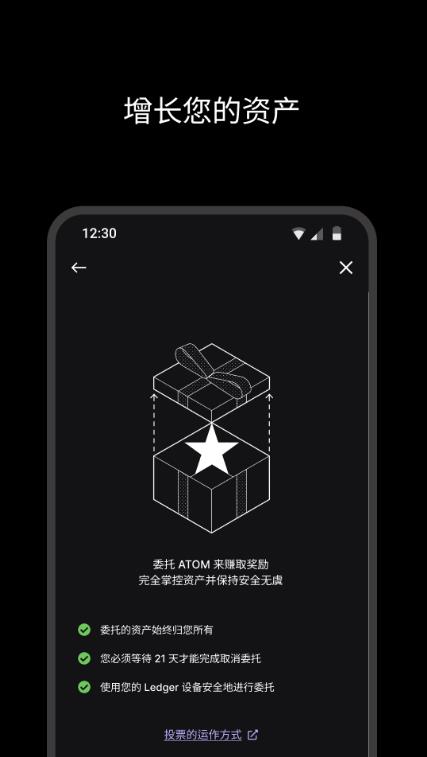 Ledger Nano X中文版截圖4