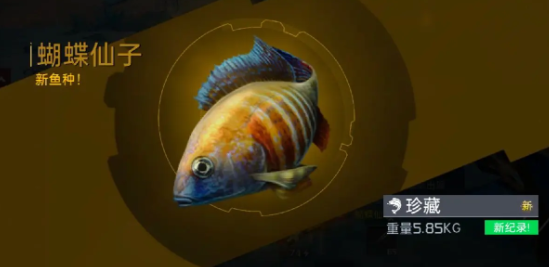 星球重啟釣魚震動(dòng)怎么關(guān)閉 釣魚震動(dòng)關(guān)閉方法