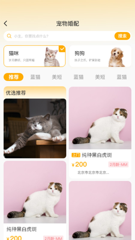 喵鑫球?qū)櫸镘浖娼貓D2