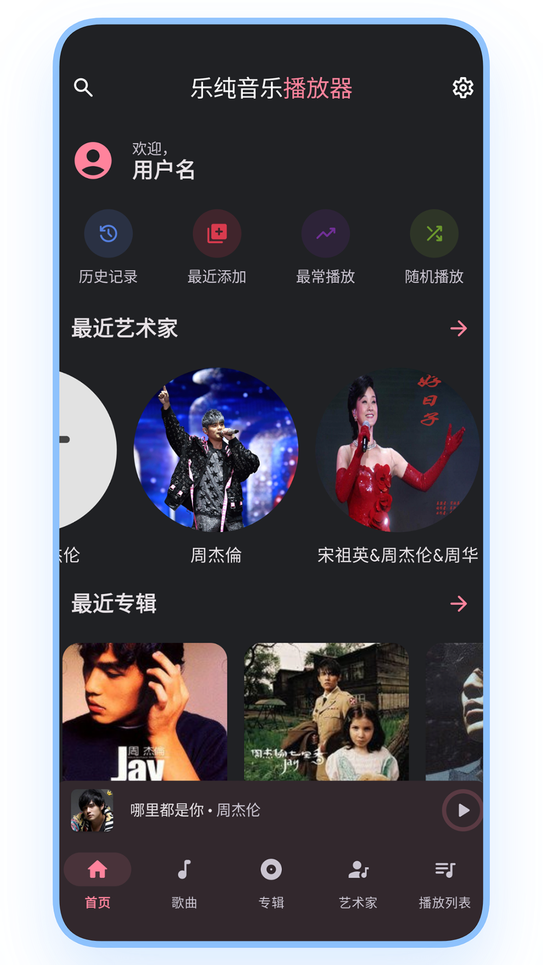 樂純音樂播放器軟件版截圖3