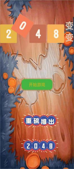 2048變變安卓手機(jī)版截圖2